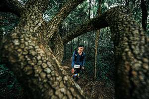 BIB: 
                            <button type="button" onclick="openModal(25394247)" class="btn btn-primary btn-sm float-right btn-popup" data-toggle="modal" data-target=".modal-high-quality">
                        <i class="fas fa-shopping-cart"></i> Add to Cart
                    </button>
                                            <button type="button" onclick="isThisMe(25394247, true)" class="btn btn-success btn-sm float-right btn-popup btn-isme hidden" data-toggle="tooltip" data-placement="bottom" title="นี่คือรูปของคุณใช่ไหม คลิกที่นี่เพื่อเอาเข้าอัลบั้ม">
                        <i class="fas fa-plus"></i> Add to album
                    </button>
                    <button type="button" onclick="isThisMe(25394247, false)" class="btn btn-warning btn-sm float-right btn-popup btn-isnotme hidden">
                        <i class="fas fa-ban"></i> Remove from album
                    </button>